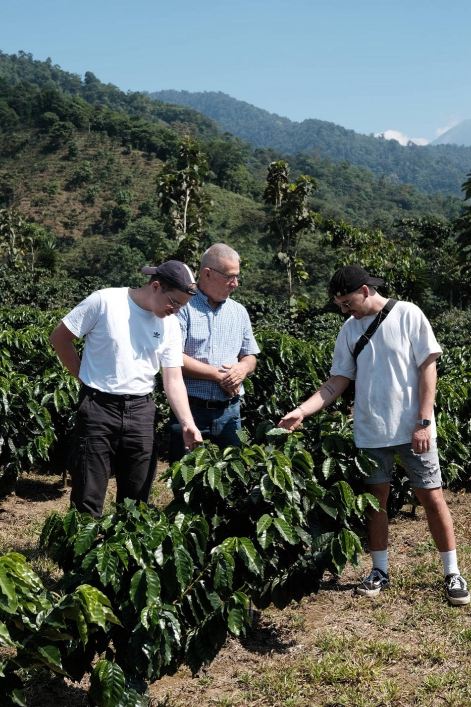 Auf der Kaffeefarm, im Gespräch mit einem Produzenten